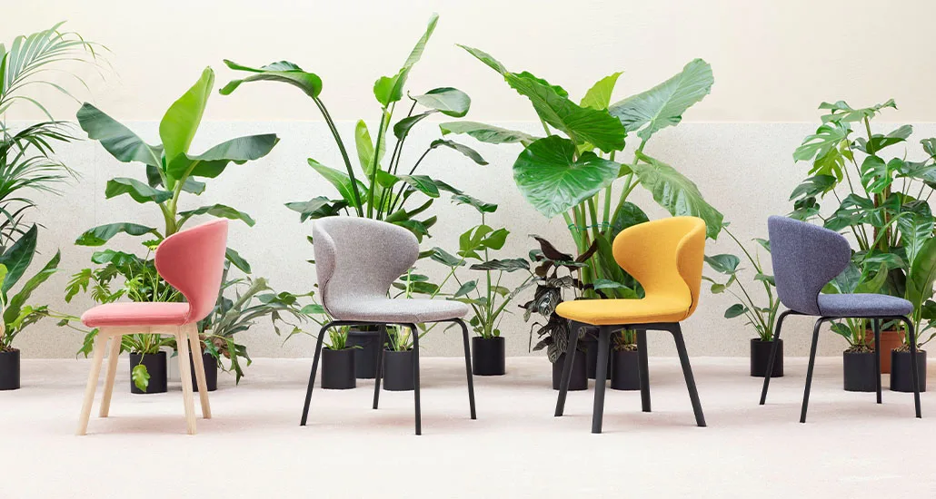 Mula is a contemporary upholstery dining chair with polyurethane seat shell and wood base suitable for hospitality projects