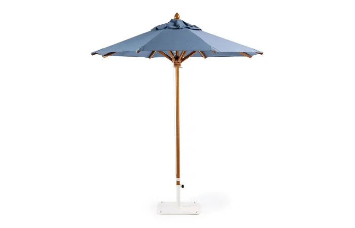 classic umbrella 1