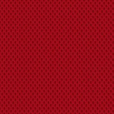 Polo 10 Rosso 1