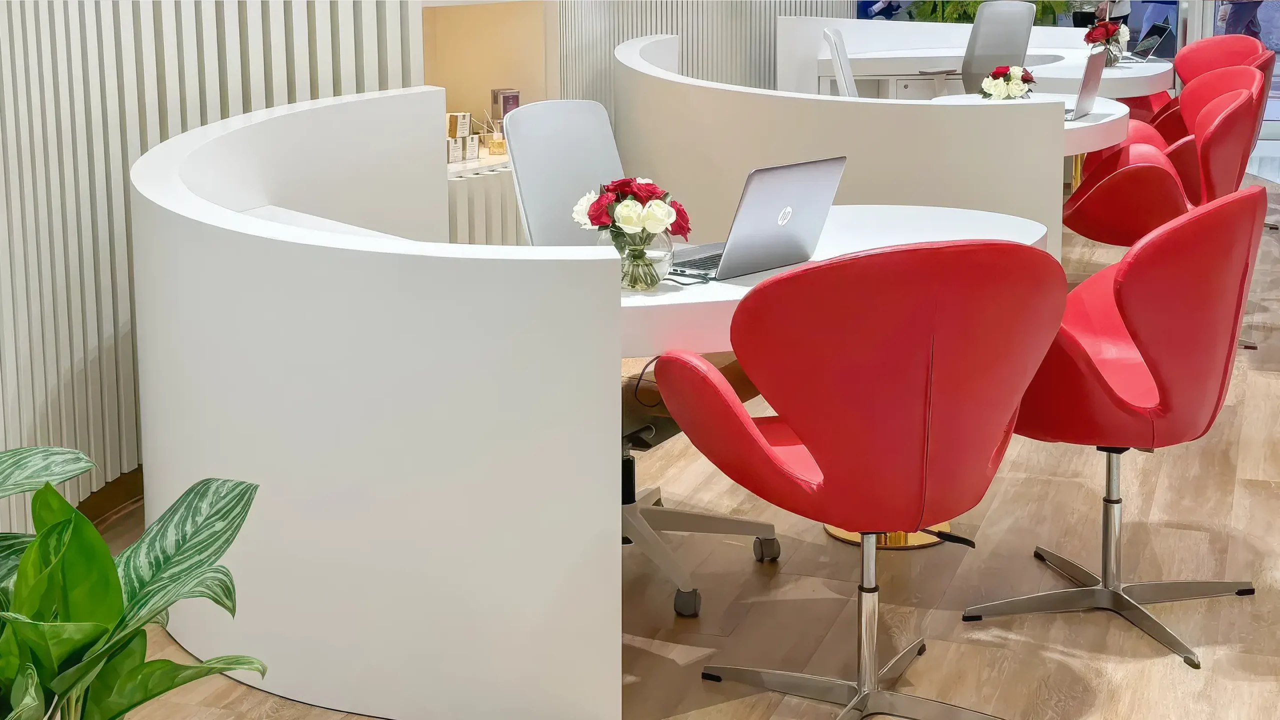 Cat B Fit Out by Fabiia