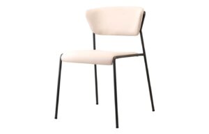 Fab-C-F1072