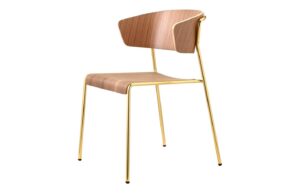 Fab-C-F1075