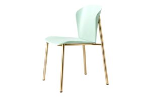 Fab-C-F1076