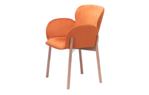 Fab-C–F1515