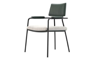 Fab-C-F1538
