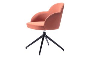 Fab-C-F1541