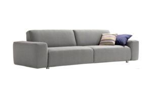 Fab-C-F2542