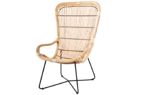 Fab-C-R7513