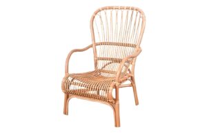 Fab-C-R7539