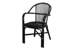 Fab-C-R7546