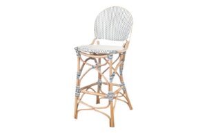 Fab-C-R8504
