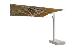 Fab-C–U5511