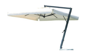 Fab-C–U5513
