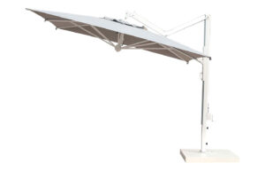 Fab-C–U5516