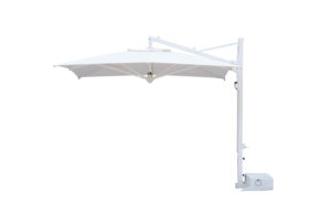 Fab-C–U5517