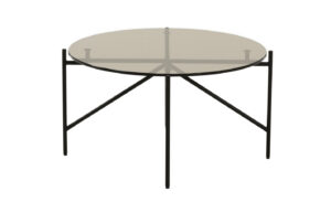 Fab-C-E10523