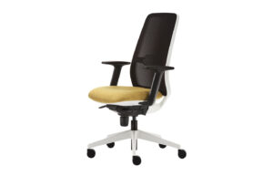 Fab-C-E4509