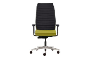 Fab-C-E5501