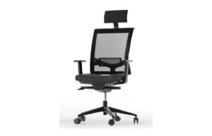 Fab-C-E5505