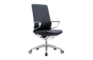 Fab-C-E5506