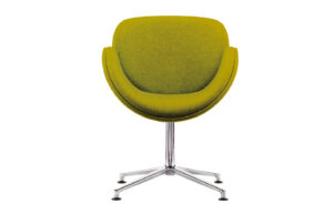 Fab-C-E6008